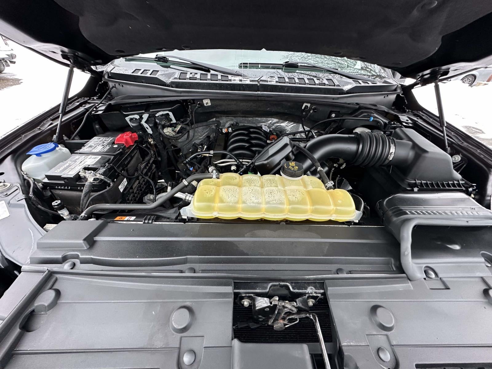 2019 Ford F-150 XLT 4WD SuperCrew 5.5' Box