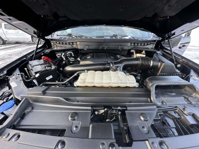 2023 Ford F-150 Tremor 4WD SuperCrew 5.5' Box