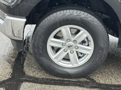 2023 Ford F-150 XL 4WD SuperCrew 5.5' Box