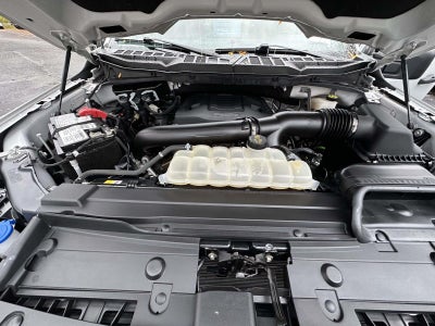 2023 Ford F-150 XLT 4WD SuperCrew 5.5' Box