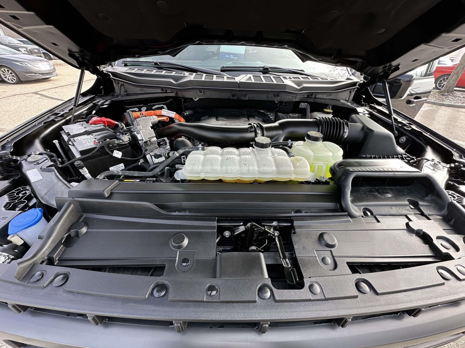 2023 Ford F-150 King Ranch 4WD SuperCrew 5.5' Box